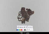 藏品(中國湖北皮影戲偶頭-生)的圖片